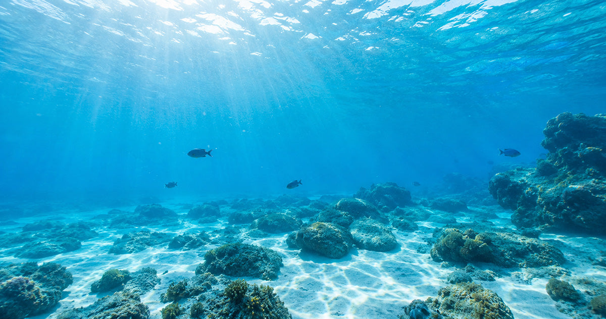 Clear tropical seawater with sunlight rays, reef rocks, and small distant fish silhouettes in a calm underwater ocean scene